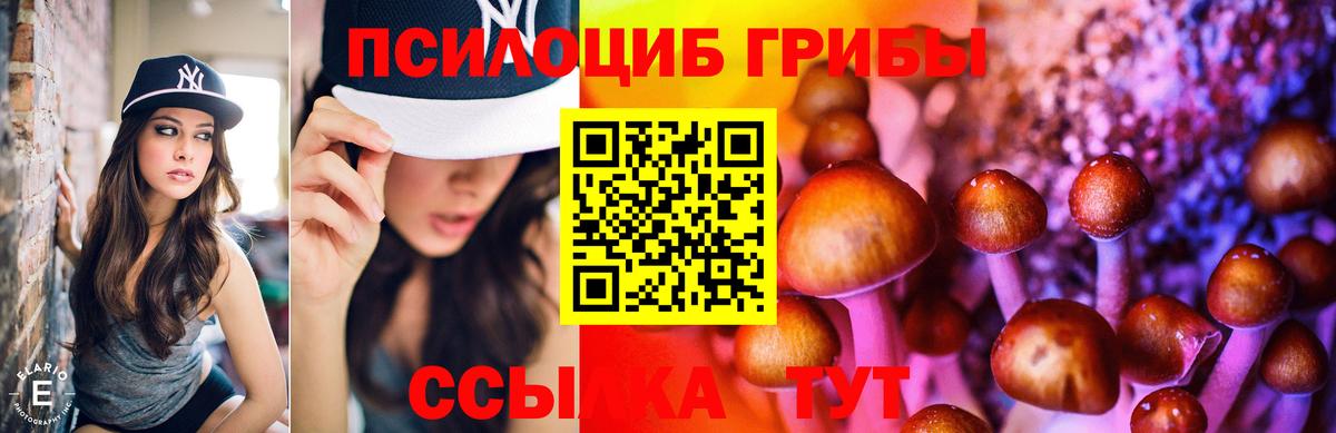 Кирово-Чепецк  Псилоцибиновые грибы GOLDEN TEACHER  Галлюциногенные грибы ЛСД  Вход с VPN 